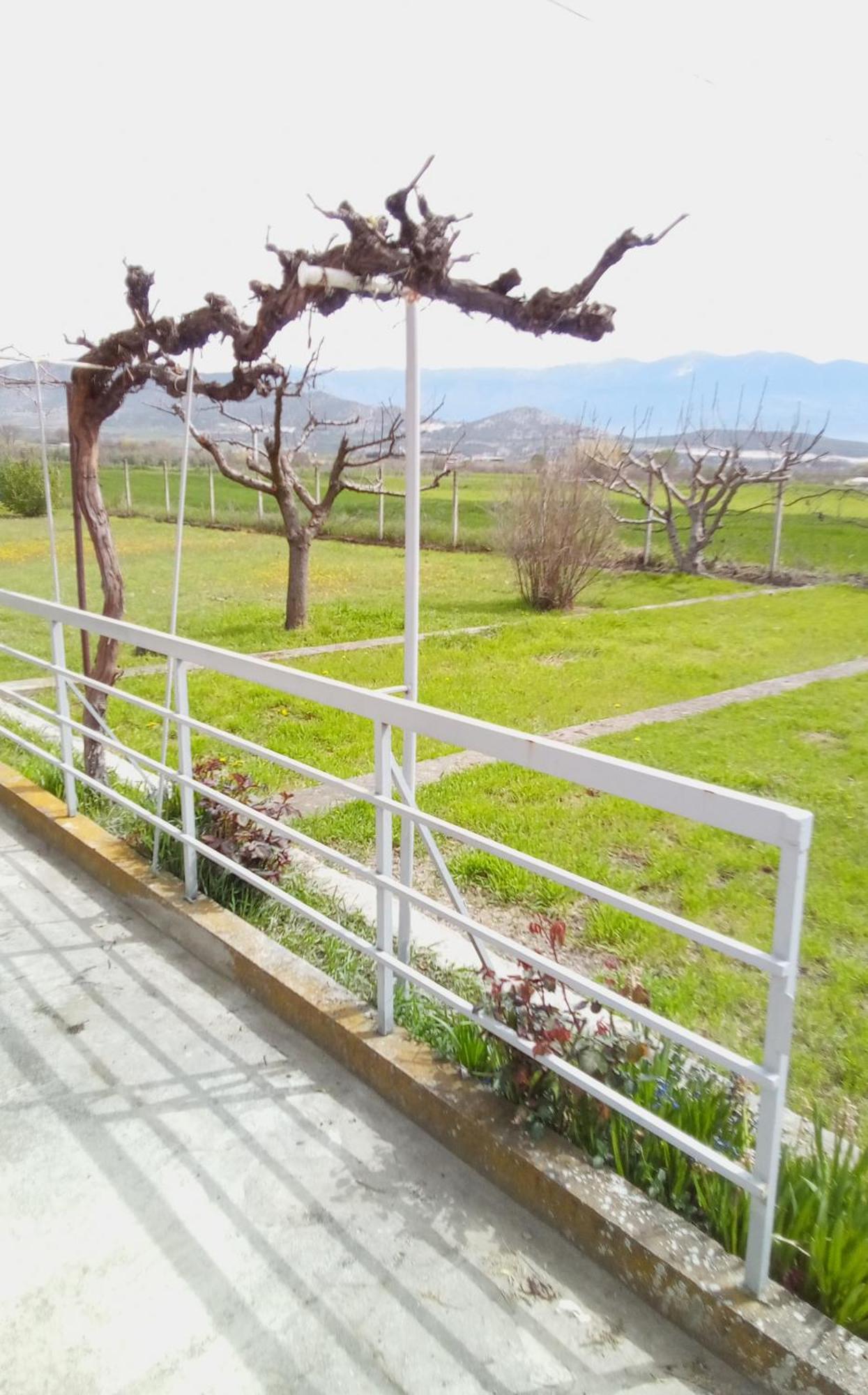 Evropishouse Kozani